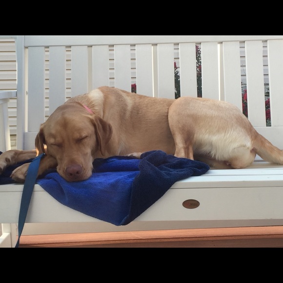 puppylove792